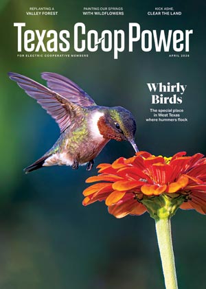 Texas Coop Power Magazine Cover with Hummingbird
